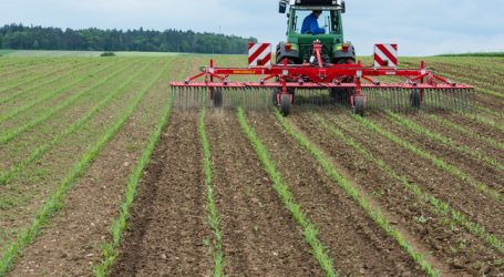 Bio-Beschluss frühestens im Herbst