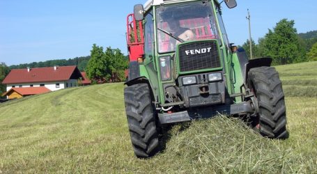 Grüner Bericht: Bauerneinkommen stieg um 14 Prozent