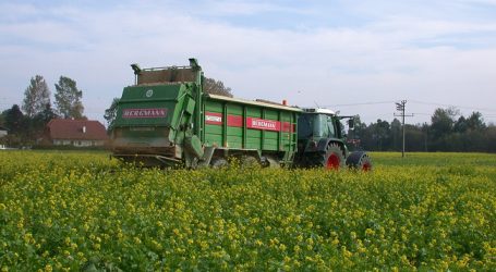 EU will mehr Kompost statt Mineraldünger