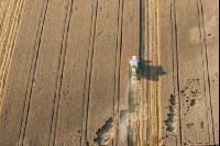 Deutschland rechnet mit gleichbleibender Getreideernte