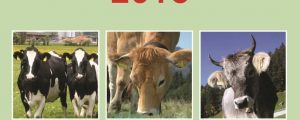 Rinderzucht Austria veröffentlicht Jahresbericht 2016