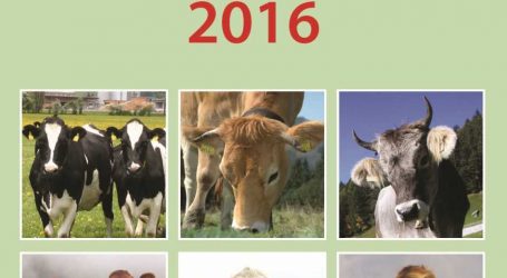Rinderzucht Austria veröffentlicht Jahresbericht 2016