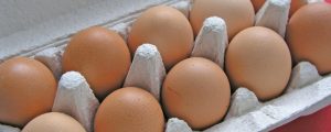 Acht Fälle von Fipronil-Eiern in Österreich
