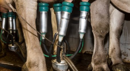 Butter-Höhenflug momentan gestoppt