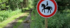 Reiter sollen sich an Wege halten