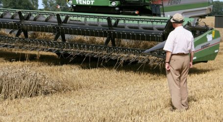 Deutsche Getreideernte schleppend