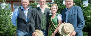 Christbäume im Hochsommer
