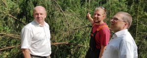 Sturmschäden verschärfen Borkenkäferproblem
