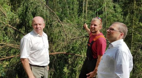 Sturmschäden verschärfen Borkenkäferproblem