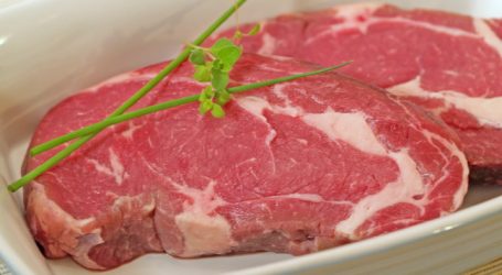 BSE-Exportverbot nach 16 Jahren aufgehoben