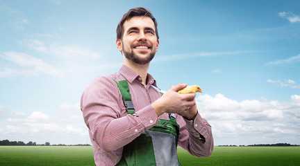 Oberösterreich fördert Höfe-Websites