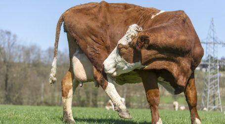 Butter läuft wie geschmiert