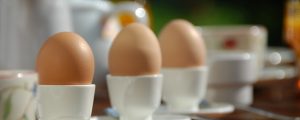 Fipronil-Krise wird deutsche Eierpreise heben