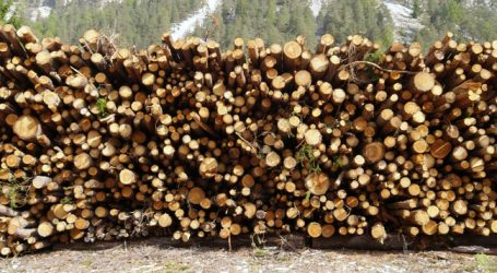 Holz kann nicht mehr abtransportiert werden