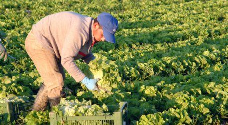 Schwarzarbeit soll eingedämmt werden