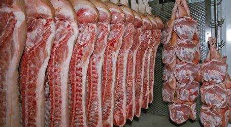 Schweineschlachtungen in Europa rückläufig