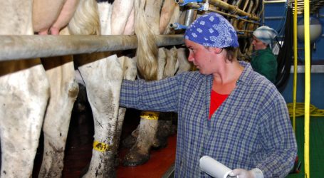 Butter stabilisiert den Milchmarkt