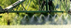 Moderner Pflanzenbau ohne Spritzmittel?