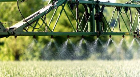 Moderner Pflanzenbau ohne Spritzmittel?