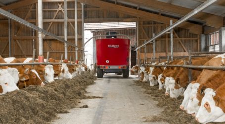Milchmengen streben auf Rekordniveau