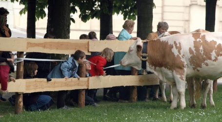 Bäuerinnen besuchen Volksschulen
