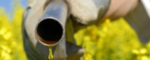 Biokraftstoffe: Anrechnungs-Aus gefordert