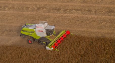 Herbsternte in Oberösterreich „zufriedenstellend“