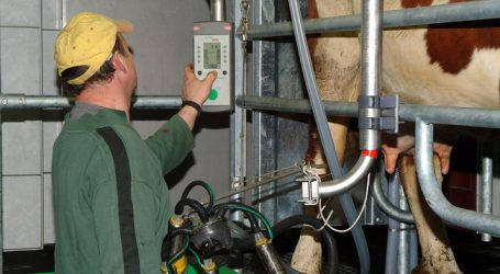 Petschar: Butter nicht Schuld an Inflation