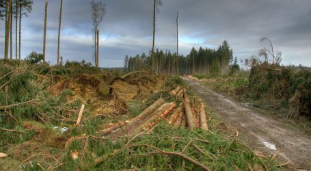 OÖ-Katastrophenfonds zahlt für Sturmschäden