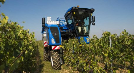 Braud gewinnt Sitevi-Award