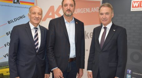 Hautzinger möchte Kammer-Pflicht bewahren