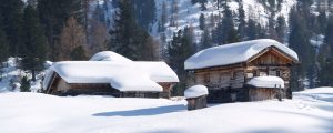 Bewirtschaftete Almen schwächen negative Klimafaktoren ab