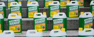 Glyphosat-Gegner machen weiter mobil