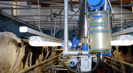 Milchpreis soll bis Jahresende stabil bleiben