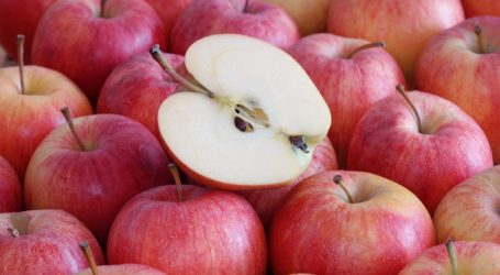 Äpfel werden zur Mangelware