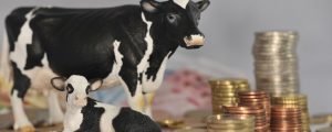 WTO beklagt Protektionismus im Welthandel
