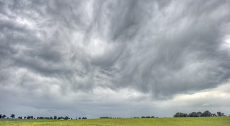 Agrarjahr 2017 von Wetterkapriolen geprägt