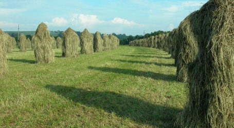 Landwirtschaftskammer Kärnten beschließt Strukturreform