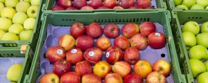 Schweiz muss Äpfel importieren