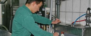 Milch: DBV prüft Warenterminbörsen zur Preisabsicherung
