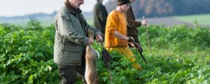 Jäger verweisen auf volkswirtschaftlichen Effekt der Jagd