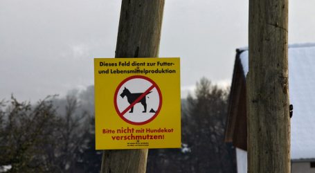 „Tierfreunde Österreich“ gegen Hundekot