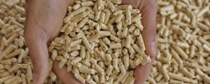 Heimische Pelletsproduktion stieg um 12 Prozent