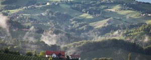 Sauvignon blanc-Welt trifft sich in der Steiermark