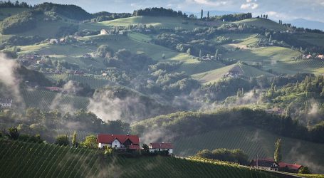 Sauvignon blanc-Welt trifft sich in der Steiermark