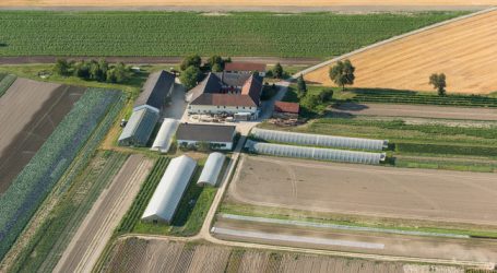 Bauerneinkommen erholten sich 2017