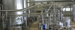 Milchexporte im Vorjahr deutlich gesteigert