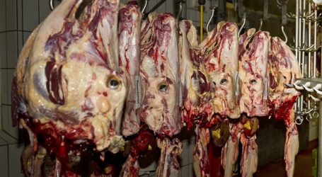 Brasilien verheimlichte Gammelfleisch-Befunde