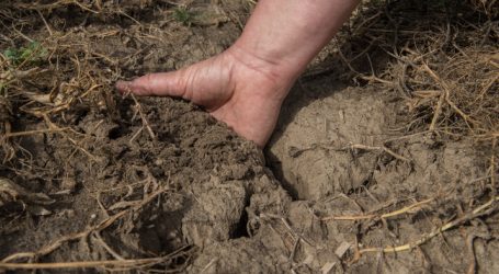 Weltweiter Bodenzustand besorgniserregend