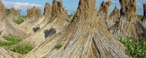LK Burgenland: Am Sonntag wird gewählt